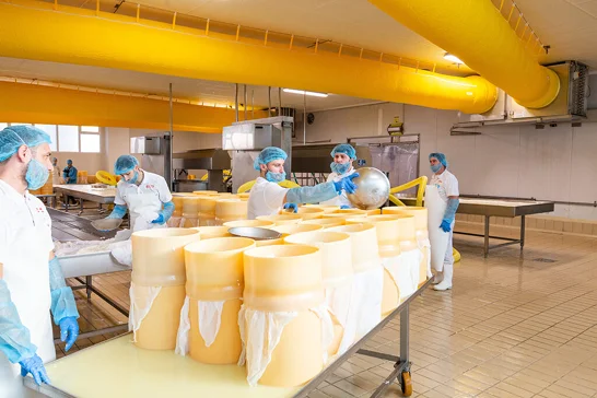geliminiilllu | Dolce Parma