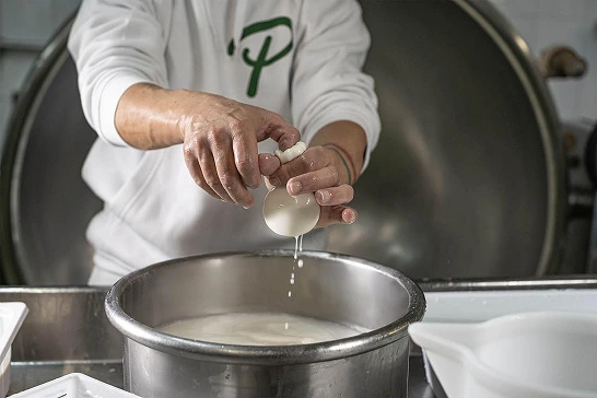 imgperina | Dolce Parma